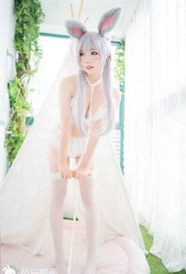 午夜精品久久久久久仙踪林_BD手机在线看